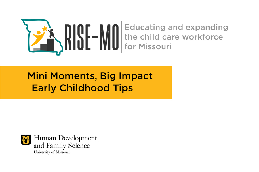 A course graphic with the RISE-MO logo with